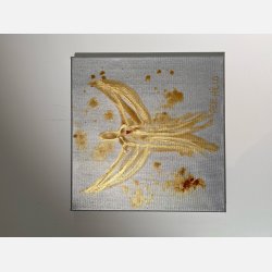 Golden Angel 40 x 40 cm